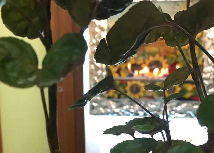 La Maison De Fuecopared Апартаменты