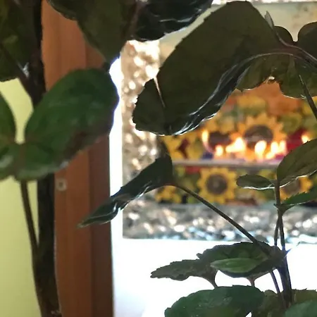 La Maison De Fuecopared Διαμέρισμα